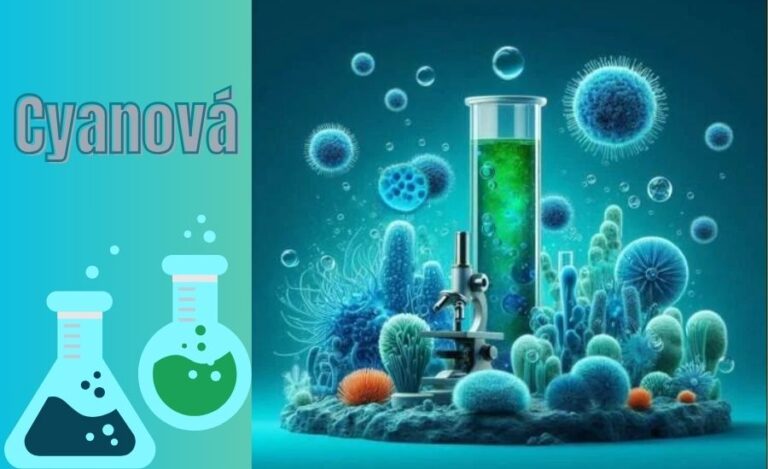 Comprehensive Guide to Cyanová: Applications, Benefits, and Future Potential