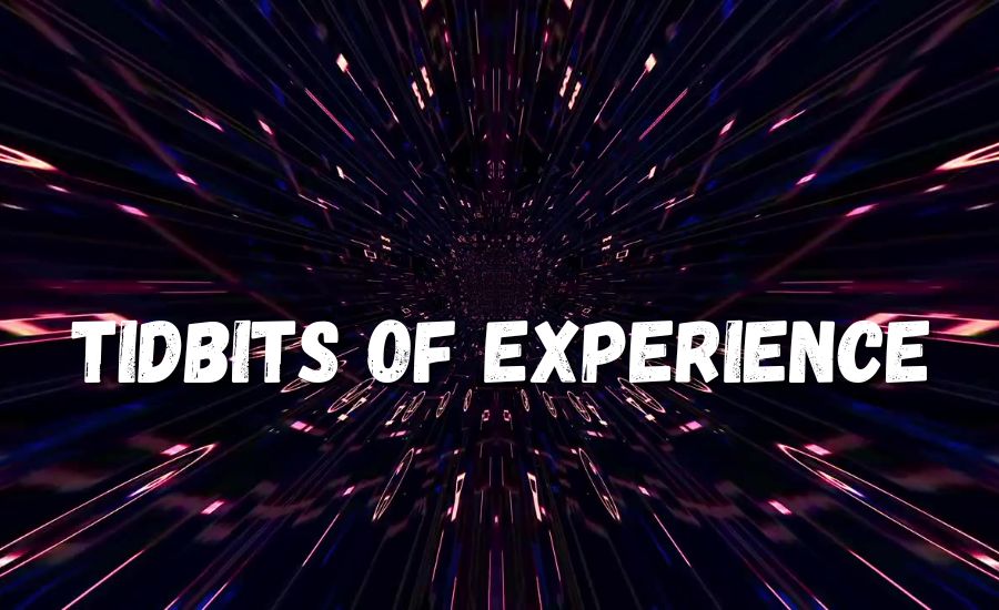 tidbits of experience