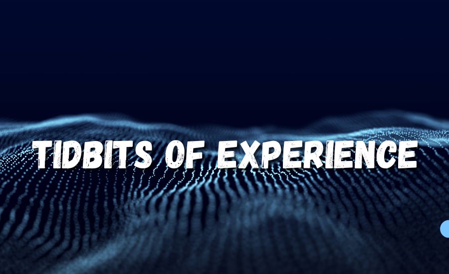 tidbits of experience