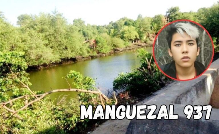 manguezal 937