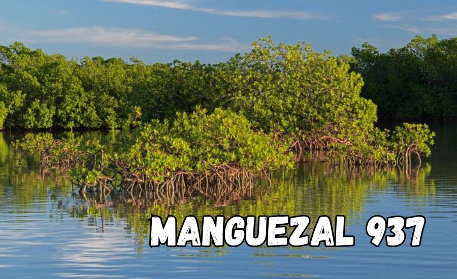 manguezal 937