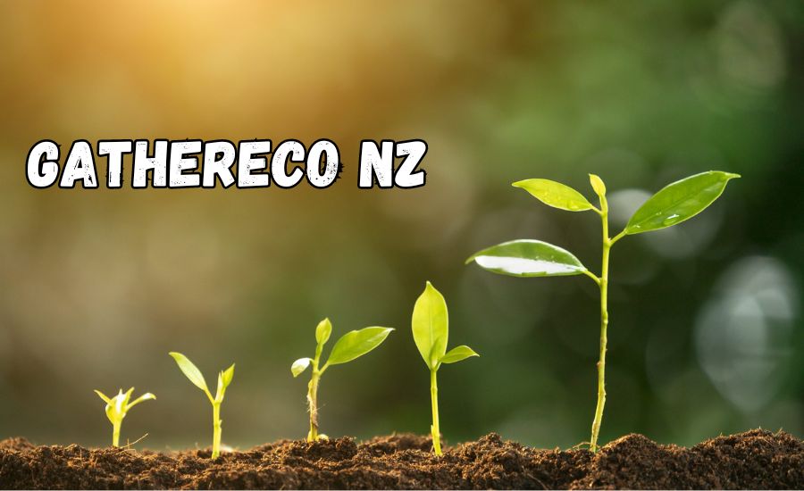 gathereco nz