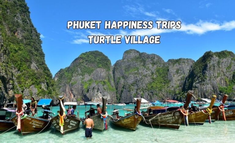 phuket happiness trips turtle village