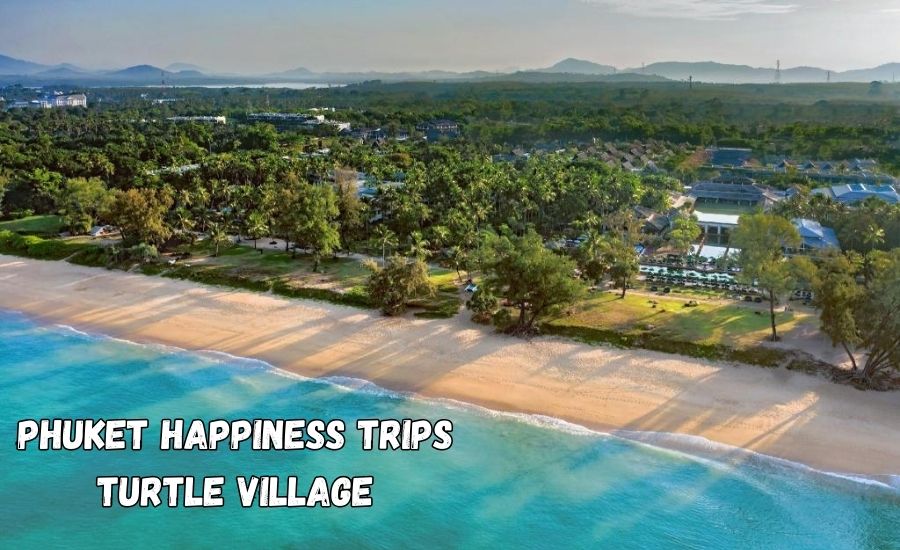 phuket happiness trips turtle village